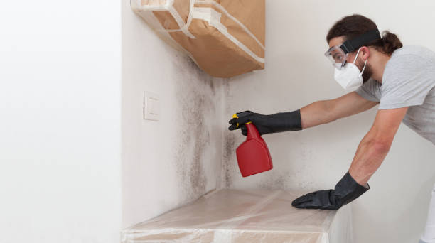 Professional Crawl Space Mold Removal technician working in Ivor, VA
