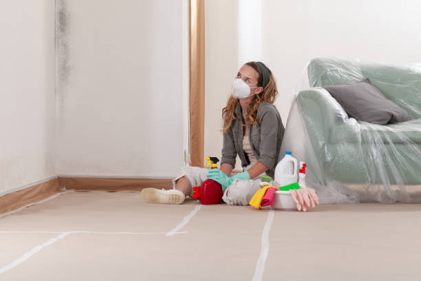 Reliable Mold Remediation contractor in Ivor, VA by Cheap Mold Removal