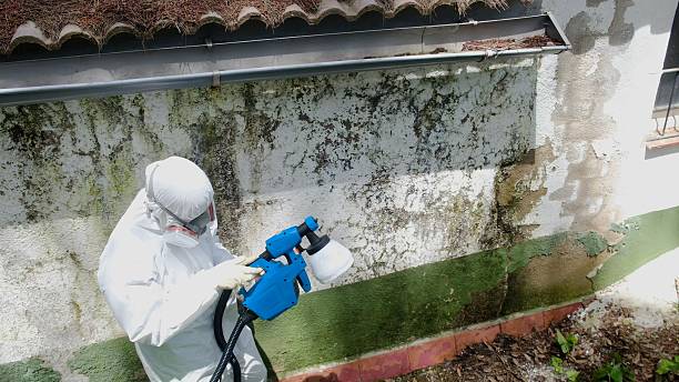 Trusted Bathroom Mold Removal service in Ivor, VA - Cheap Mold Removal